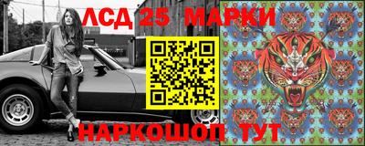гашик Бийск