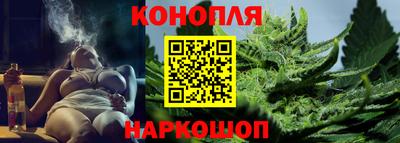 гашик Бийск
