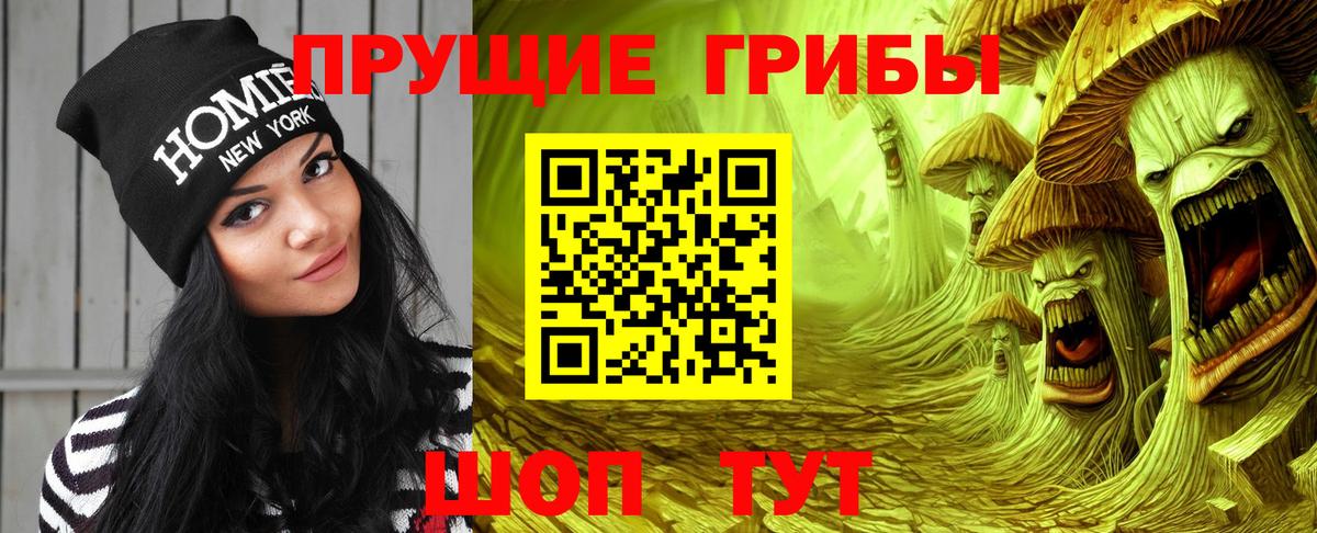 Клинцы  Галлюциногенные грибы Cubensis  Вход с VPN 