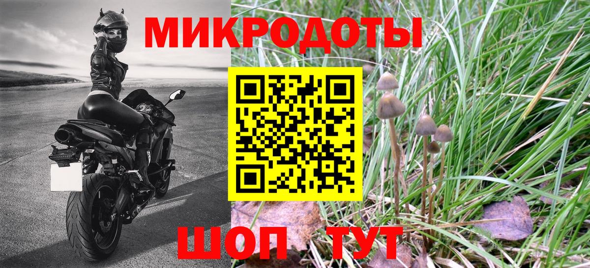 Псилоцибиновые грибы Psilocybine cubensis Клинцы